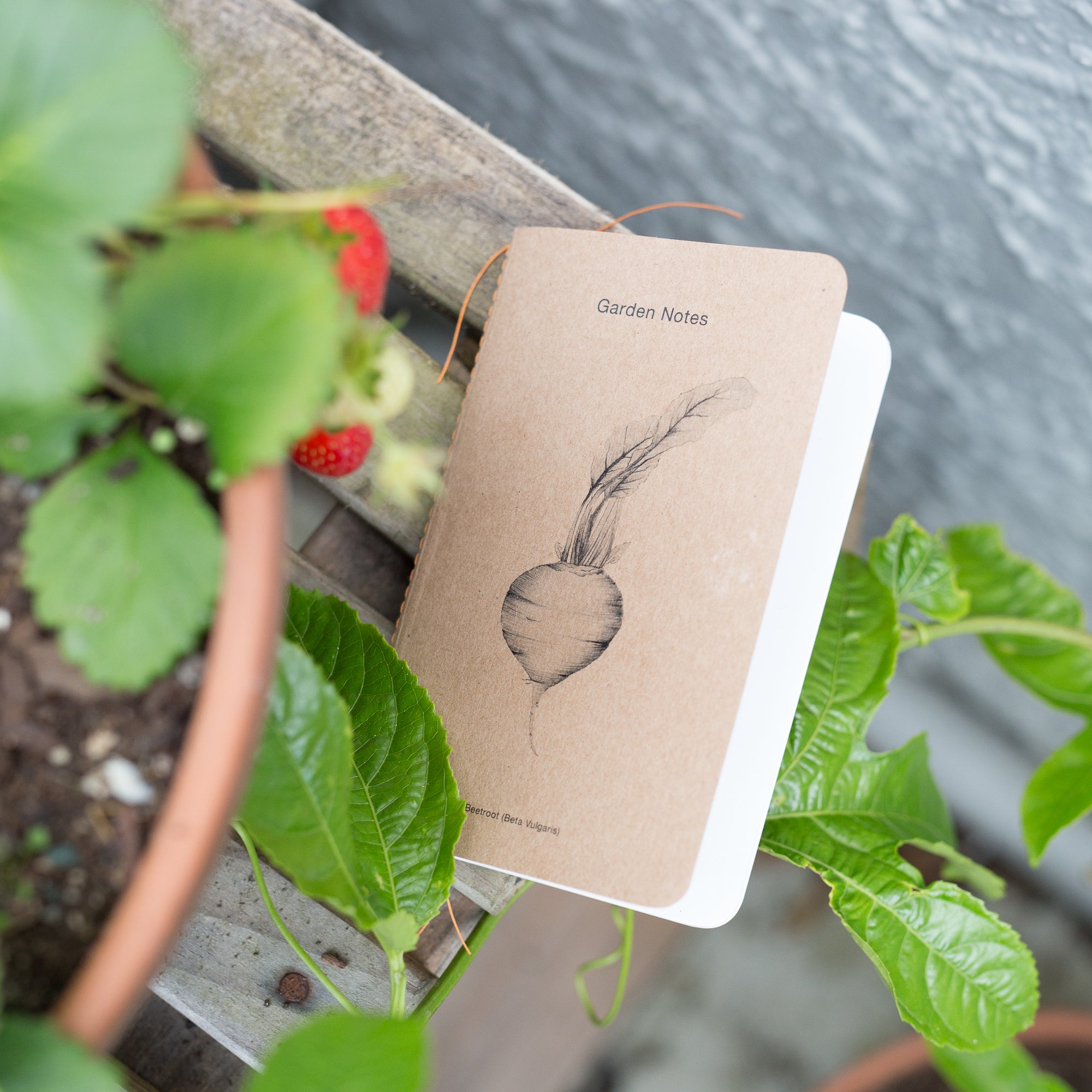 Garden Notebooks