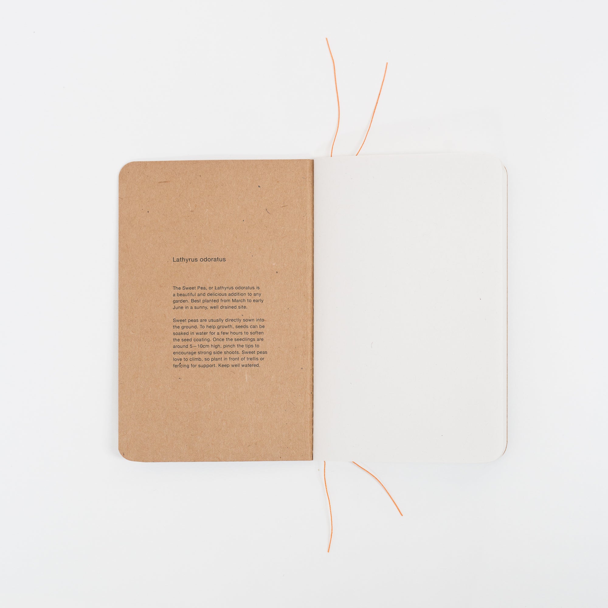 Garden Notebooks