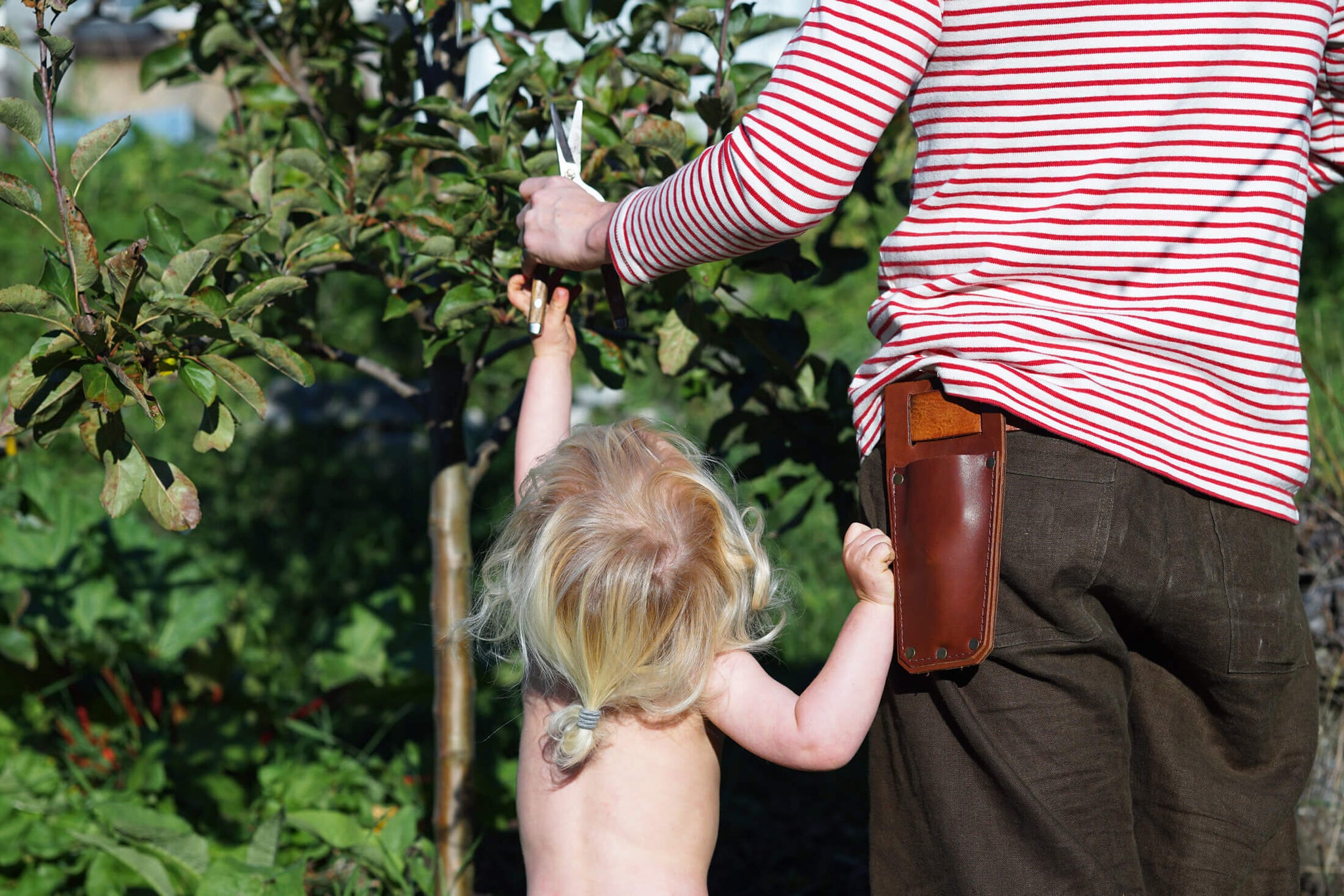 Leather Secateur Holder